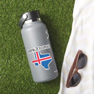 100% Texlandic Vinyl Sticker